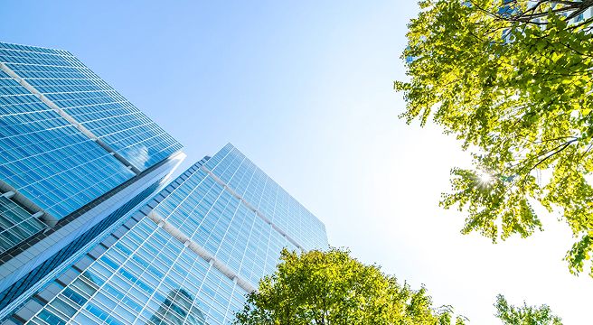 会社設立サービス